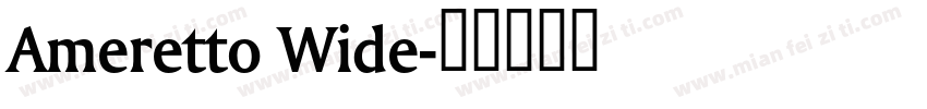 Ameretto Wide字体转换